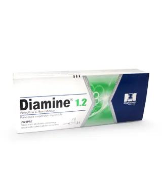 Diamine 1.2 4 ml Ampolla Inyectable + Jeringa