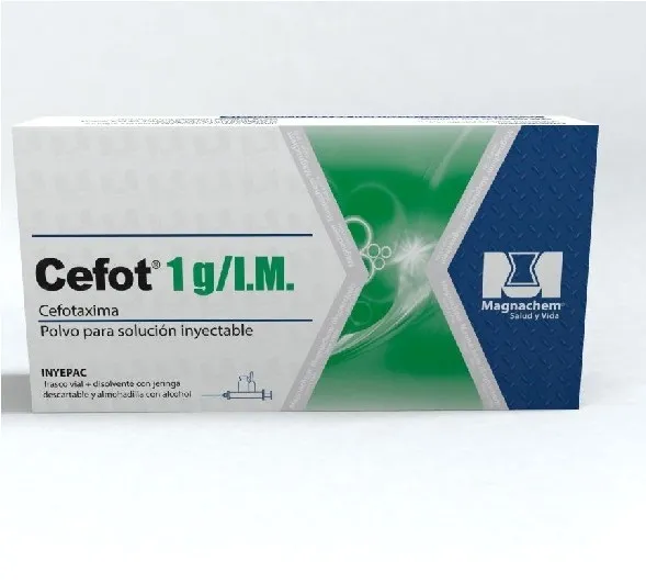 Cefot IM 1gr 1 Ampolla